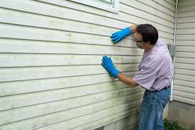 How To Choose The Right Materials for Your Siding Installation in 'Seffner, FL